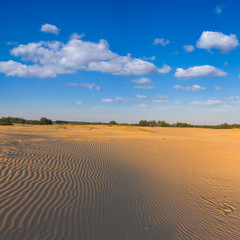 Fototapeta premium sand desert scene