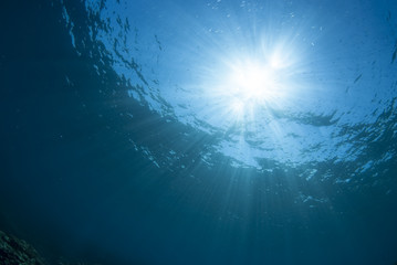 海底から見た太陽