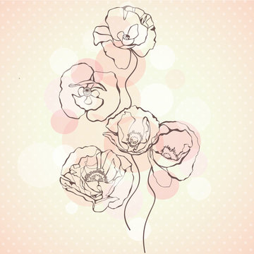 Background with delicate poppies flowers. Vector illustration