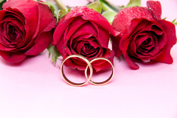Red roses with water drops and wedding rings