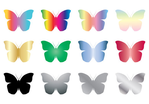 set of color and black butterflies vector illustration