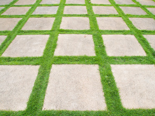 Square grass road in garden
