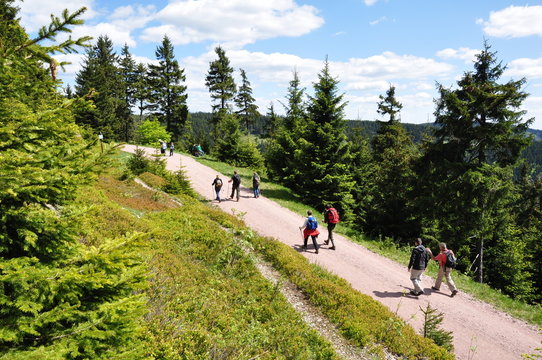 Wandern im Th&uuml;ringer Wald
