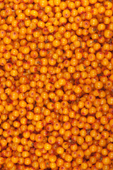 sea-buckthorn