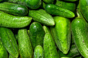 cucumbers