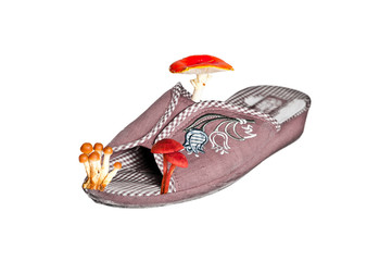 Closeup of slippers with mushrooms