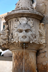 Lion fountain in Dubrovnik, Croatia - 49122149