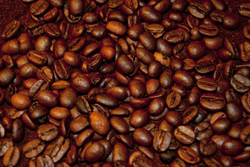 coffee