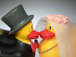Entenhochzeit