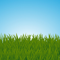 Landscape with grass and sky