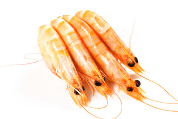 gamberetti su sfondo bianco