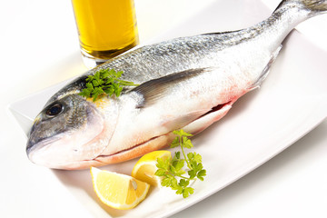 orata su piatto bianco