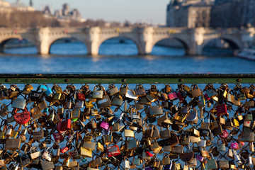 Fototapeta premium Padlocks in the Pont Des Arts, Paris, Ile de France, France