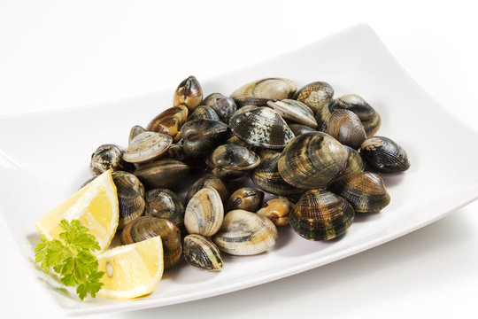 vongole veraci