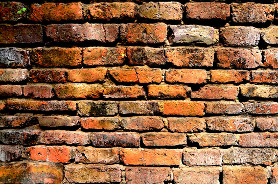 bick wall