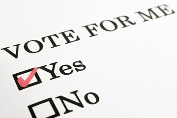 Vote for me? Yes No check boxes
