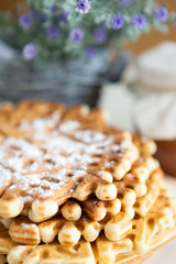 sweet waffles with powdered sugar