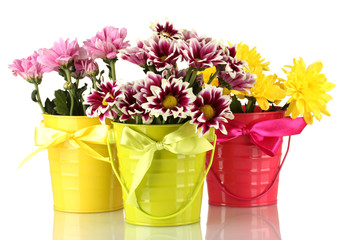 beautiful bouquet of chrysanthemums in a bright colorful