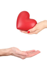 Obraz premium Red heart in woman and man hands, isolated on white