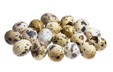 Obraz premium quail eggs on the white background