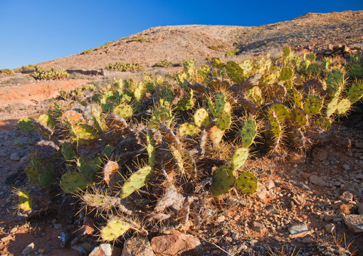 Fuerteventura, Tindaya