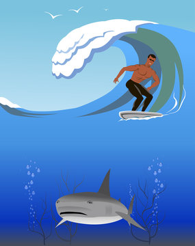 Surfer and shark.