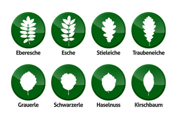 Laubblätter Buttons Vektor