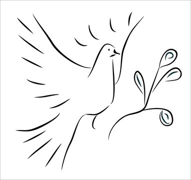 dove - simple sketch