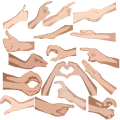 Set of vector hands isolated - 49139915