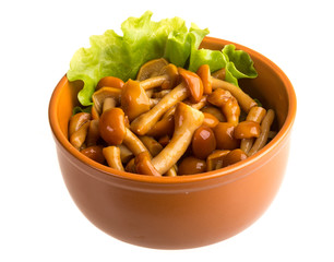 agaric honey at plate