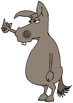 Donkey flipping the bird