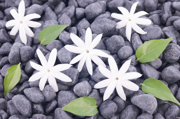 Fototapeta na wymiar Pięć białych kwiatów jaśminu i liści ponad tle zen kamienie