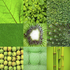 Naklejka premium Green collage