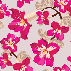 Floral seamless pattern with pink flowers, hand-drawing. Vector