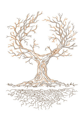 recommend clip art: Vector graphic old branchy tree