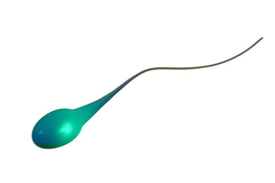 Spermie - isoliert - 3D Render