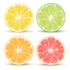 Fototapeta premium Citrus Fruits