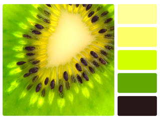 Green kiwi colour palette swatch