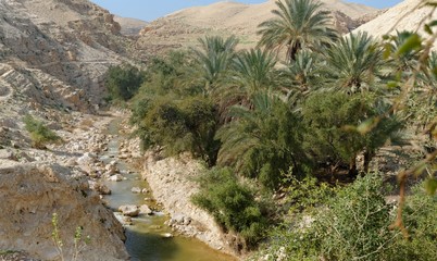 Fototapeta na wymiar Wadi Qelt creek w Pustyni Judzkiej wiosną