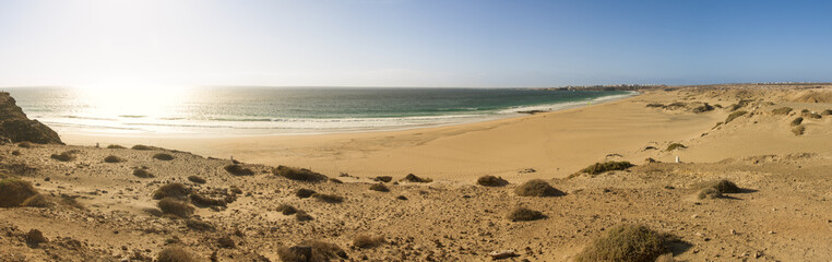 Fuerteventura desert beach panorama