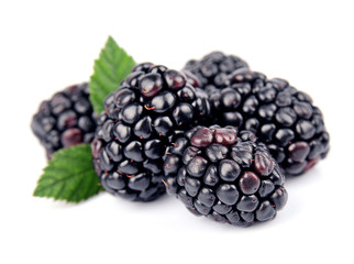 Sweet and juice blackberry fruit