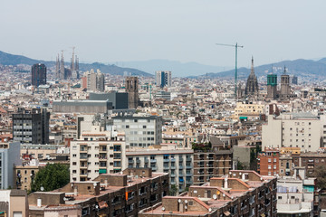 Naklejka premium Aerial view of Barcelona, Spain