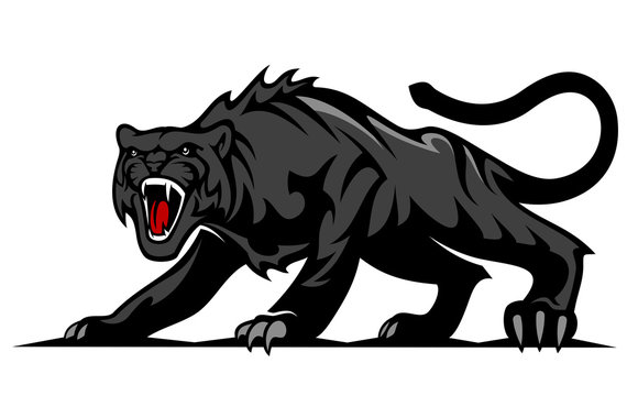 Danger black panther