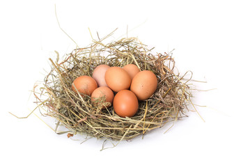 Brown eggs in a nest