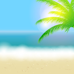 Fototapeta na wymiar Piękne tła lato plaża, morze, słońce i palmy V