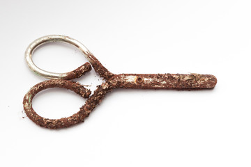Very rusty scissors (with one clean handle and rounded blades)