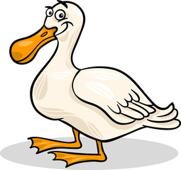 duck farm bird animal cartoon illustration