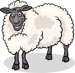 sheep farm animal cartoon illustration