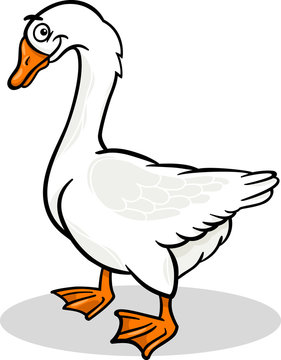 goose farm bird animal cartoon illustration Stock Vector | Adobe Stock