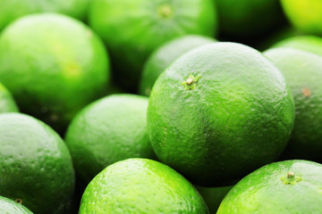 lime citrus fruit